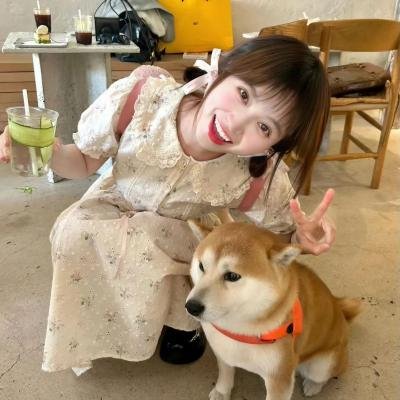 钢铁少女团2 在线观看
